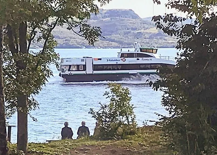 Feriehus 8 Person In Jelsa-by Traum Jelsa